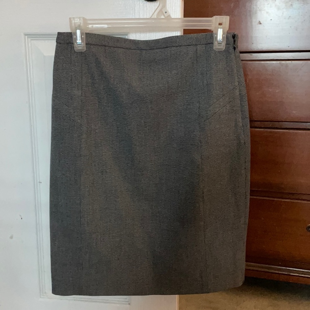 Express Pencil Skirt